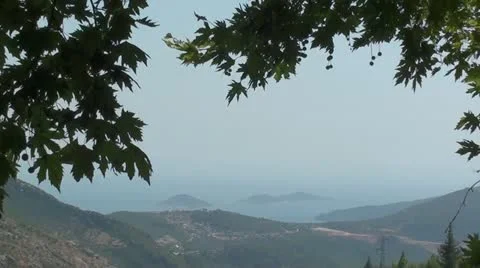 Plane tree in foreground zoom out Stock Footage 10807467
