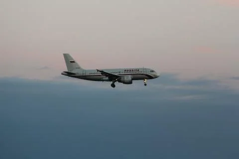 The plane in the twilight sky. 库存照片