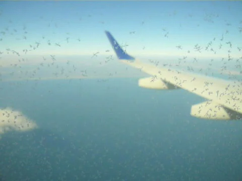Plane window with ice crystals Stock Footage 538079