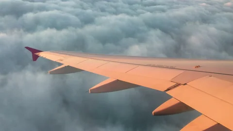 Plane wing opens skyline after takeoff. Stock Footage 208840944