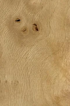 Plane Wood tree pattern samples natural rural timber Stock Photos