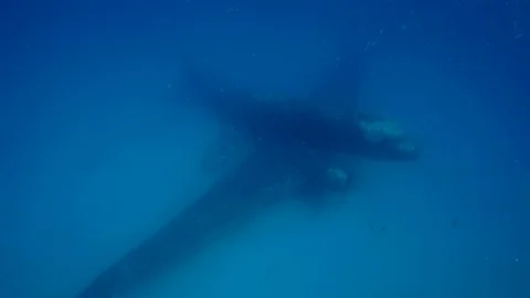 Plane Wreck on the Bottom Deep Sea Stock Footage 124204184