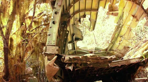 Plane wreck in forest 库存影片 28500343