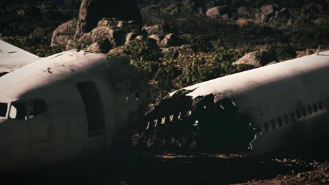 Plane wreckage on ground surrounded by dense vegetation after crash incident Stock Footage 321351521