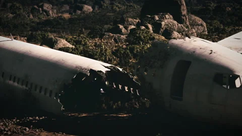 Plane wreckage lies in a remote forest after a catastrophic crash event Stock Footage 324033916