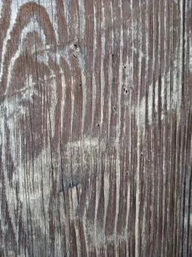 Planed wood texture Stock Photos