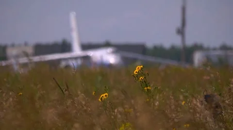 Planes in airdrome Video stock 7770391