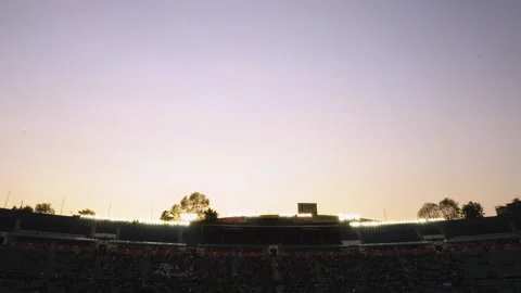 Planes flying overhead at dusk. Stock Footage 136189491