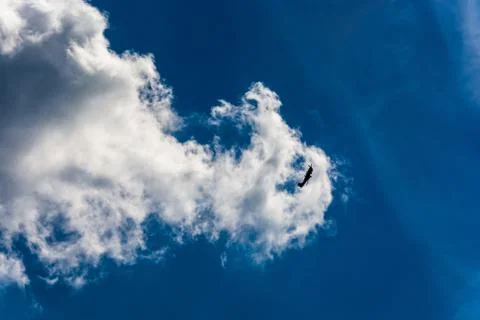 Planes in the sky. Stock Photos