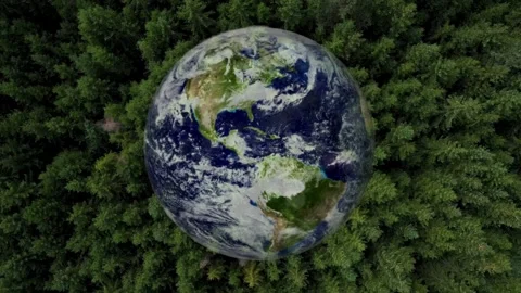 Planet Earth Globe Surrounded by Dense Green Pine Forest Aerial View Stockbeeldmateriaal 336013281