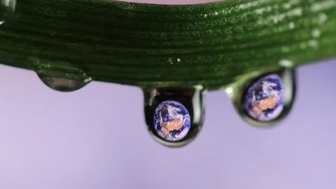 Planet earth is reflected in a drop of dew on the grass. Environmental concept. 스톡 동영상 128355030