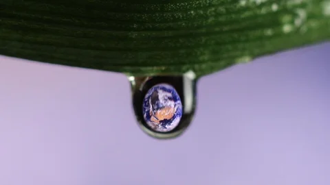 Planet earth is reflected in a drop of dew on the grass. Environmental concept. Stock Footage 128355741