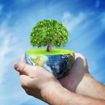 Planet Earth with tree in human hands against blue sky Stock Photos