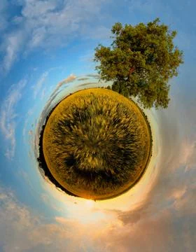 Planet with tree at sunset Stock Illustration