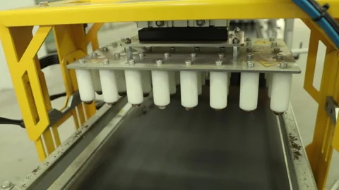 The planet will be saved. Automatic planting of seeds in plastic containers Stock Footage 176409203