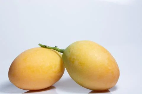 Plango white background Stock Photos