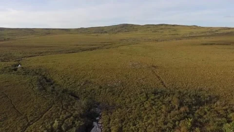 Planicie drone plain field Video stock 153550437