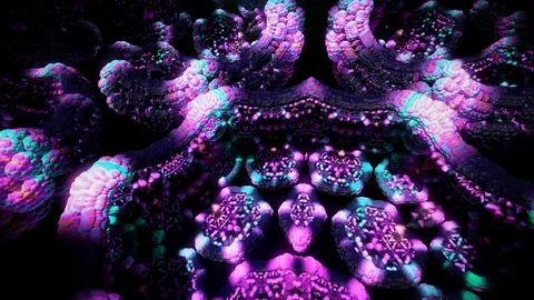 Planisphare Looping Animation Stock Footage 73283353