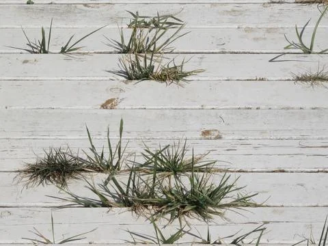 Plank floor Stock Photos