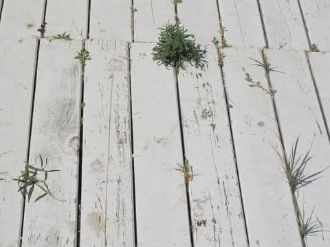 Plank floor Stock Photos