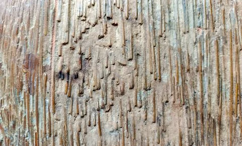 Plank Flooring Made From Coconut Tree Fiber Texture Stock Photos