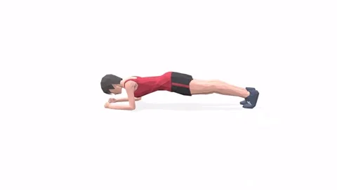 Plank Stock Footage 146958276