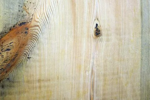Plank with twigs background. Stock Photos