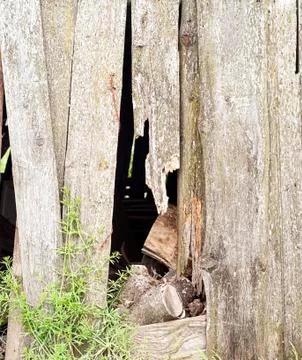 Plank wall background Stock Photos