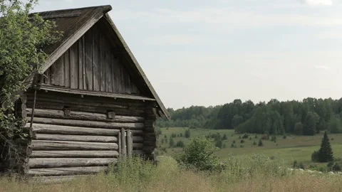 Planking old house in a forest. Manor in the woods on the hill Stock Footage 199486648