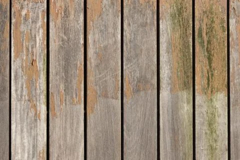 Planks of a bridge. Stock Photos