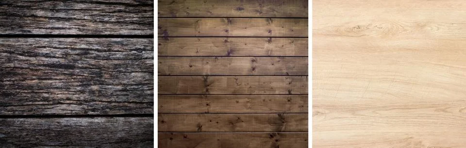 Planks, logs, a drawing of a tree. Background for design and presentations. Illustrazione stock