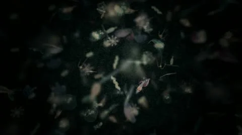 Plankton 3D Stockbeeldmateriaal 12575641