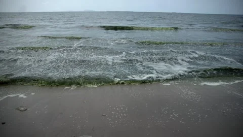 Plankton bloom polution Stock Footage 266822257