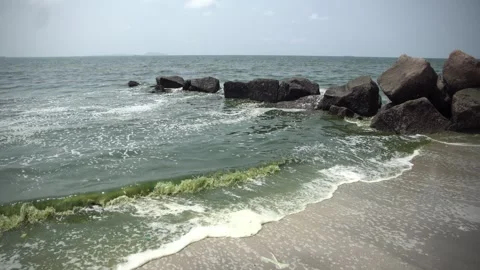 Plankton bloom polution Stock Footage 266871093