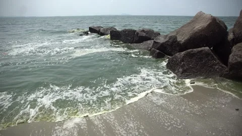Plankton bloom polution Stock Footage 266872879