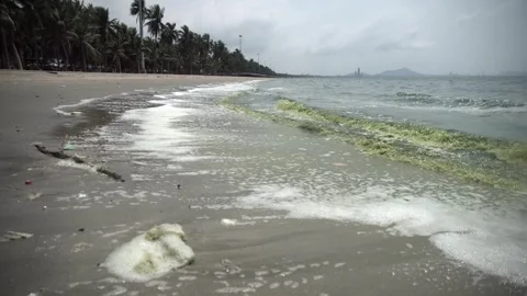Plankton bloom polution Stock Footage 266884716