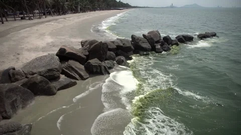 Plankton bloom polution Stock Footage 266885248