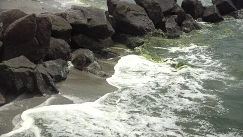Plankton bloom polution Stock Footage 266889228