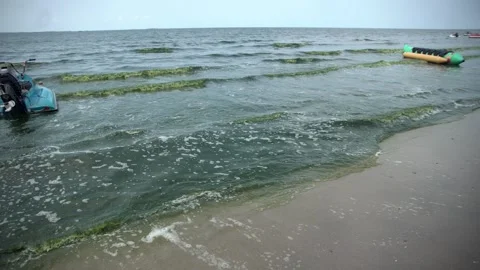 Plankton bloom polution Stock Footage 266891758