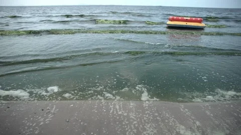 Plankton bloom polution Stock Footage 266920437