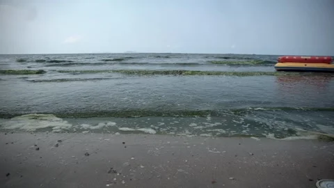 Plankton bloom polution Stock Footage 266924136