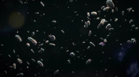 Plankton colony shoal CGI floating in deep sea Stock Footage 38061307