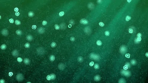 Plankton floating in the green water Stock Footage