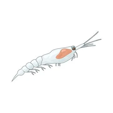 Plankton illustration Stock Illustration
