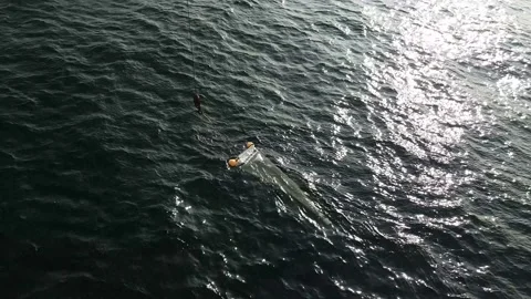 Plankton net. Bongo net. Stock Footage 150732789