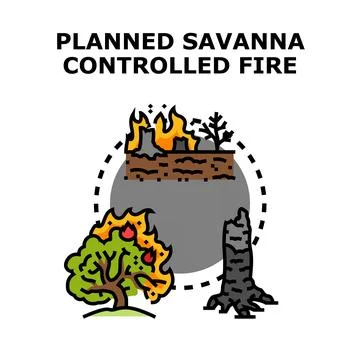 Planned management burning for ecosystem restoration concept 스톡 일러스트