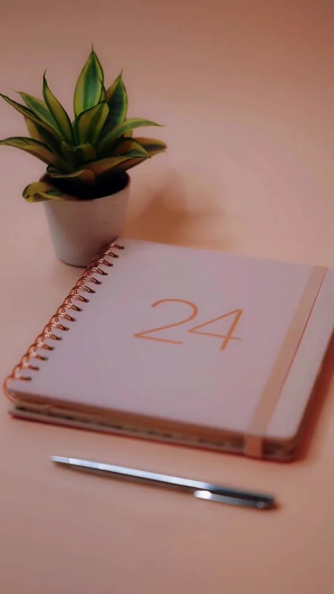 Planner notebook with a small houseplant and pen on a minimalist desk background Video stock 344850673