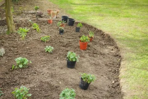 Planning a flower bed Stock Photos