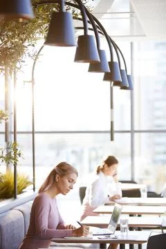 Planning project implementation in cafe Stock Photos