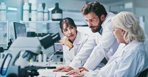 Planning, science or people with computer in lab, procedure report or metho.. Stock Photos